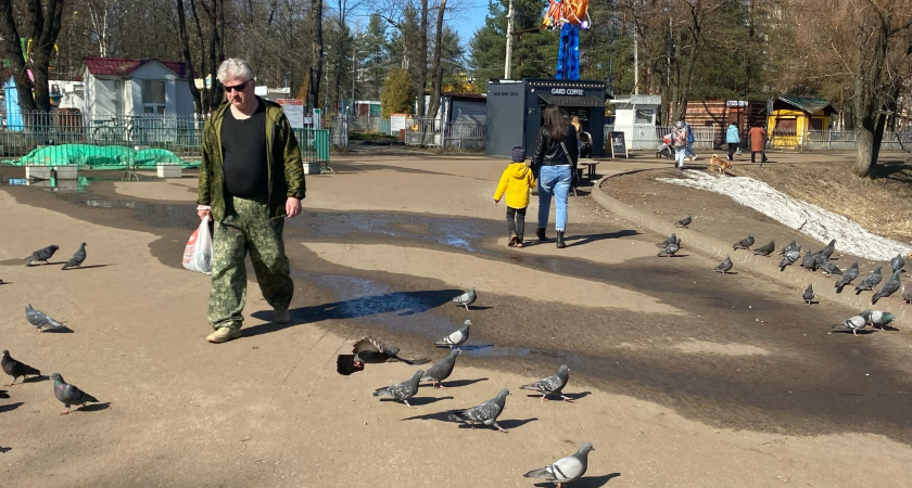 Недосчитались миллиона: прокуратура Ярославля нашла нарушения в ремонте Юбилейного парка