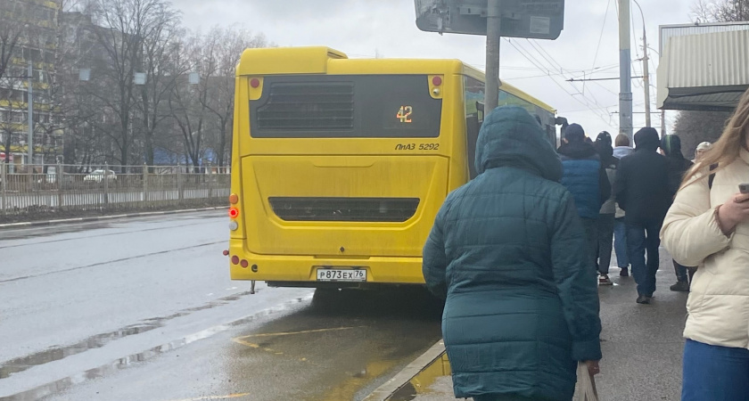 В Ярославле запустили новые автобусные маршруты
