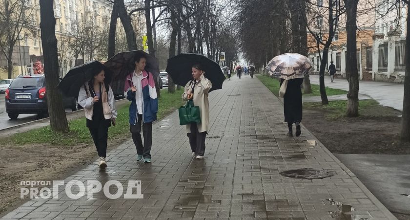 С промозглых ливней и похолодания до +2 начнутся майские праздники