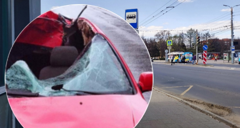 В Ярославской области водитель сбил животное и пострадал сам