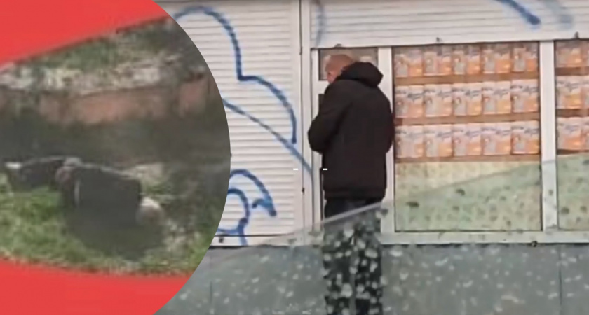 Родители школьников из Ярославля требуют закрыть ларек маргиналов