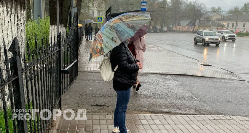 Снег и промозглые ливни еще не раз обрушатся на Ярославль во время майских праздников