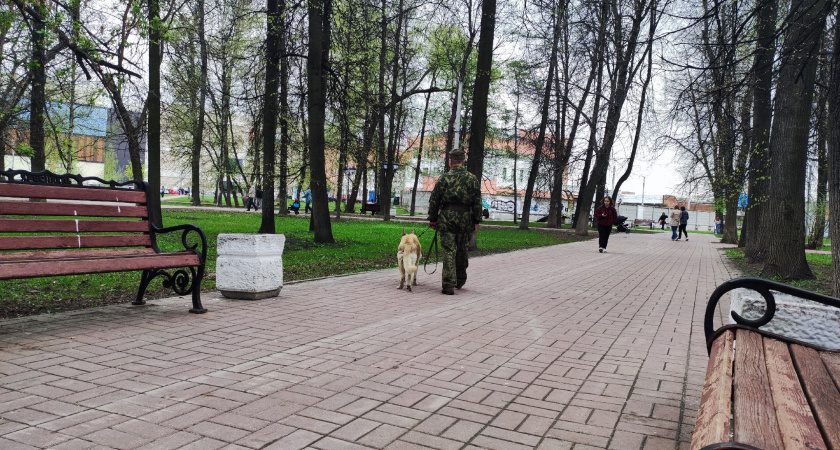 В Юбилейном парке Ярославля уничтожат 69 деревьев