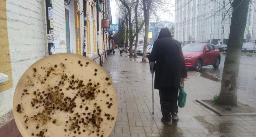 За один укус клещ заразил мужчину тремя опасными болезнями