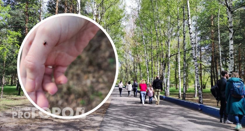 Вкусная каста: назвали категорию людей, которых чаще кусают клещи