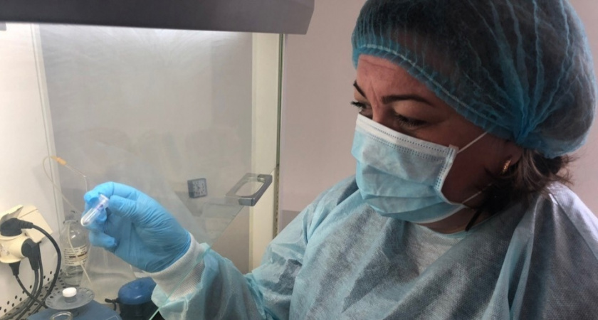 Будут обходить за километр: копеечная настойка из аптеки отпугнет клещей