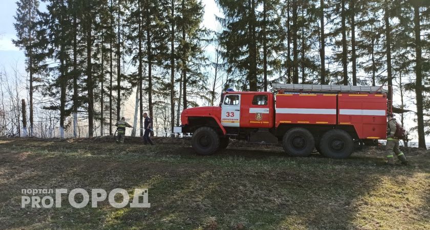 Михаил Евраев рассказал о камерах видеонаблюдения для мониторинга за лесными пожарами