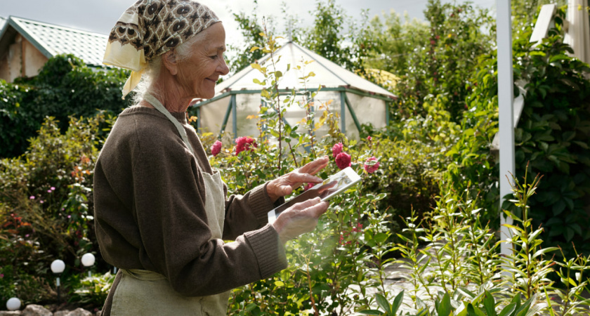 Для сельских жителей Ярославской области провели скоростной интернет