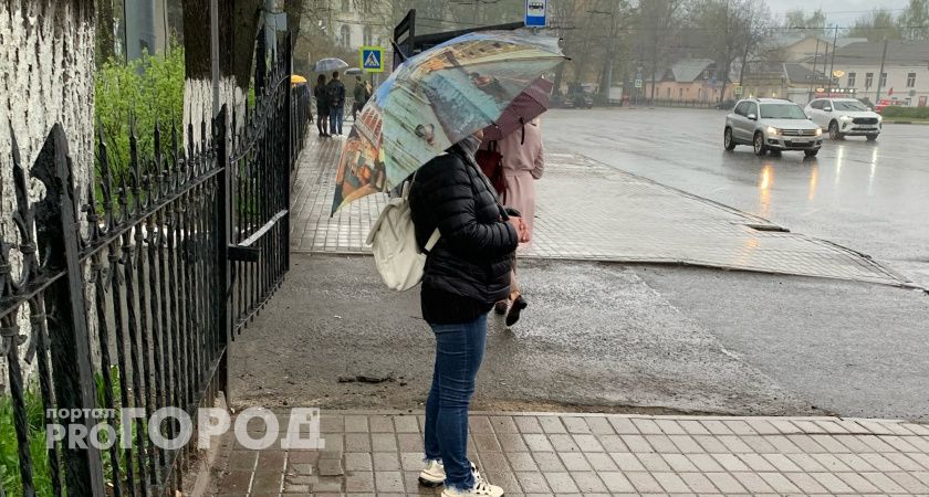 Резкая смена погоды: синоптики предупреждают о сильном ветре и облачности 