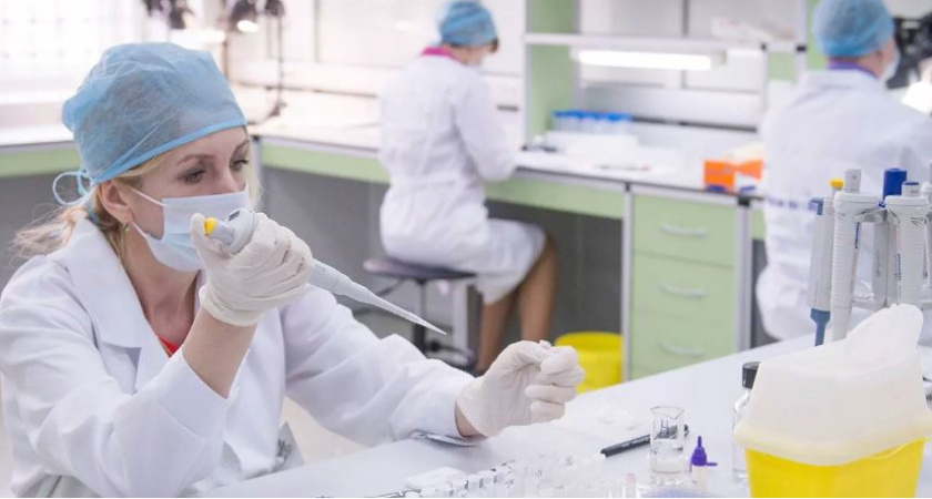  "Человек болеет тяжело": в Ярославской области ввели карантин по птичьему гриппу