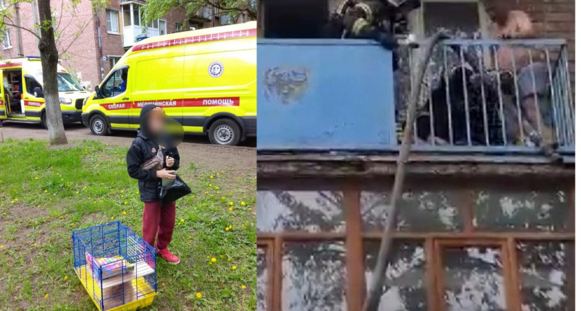 В пожаре на Чкалова спасли маленького ребенка