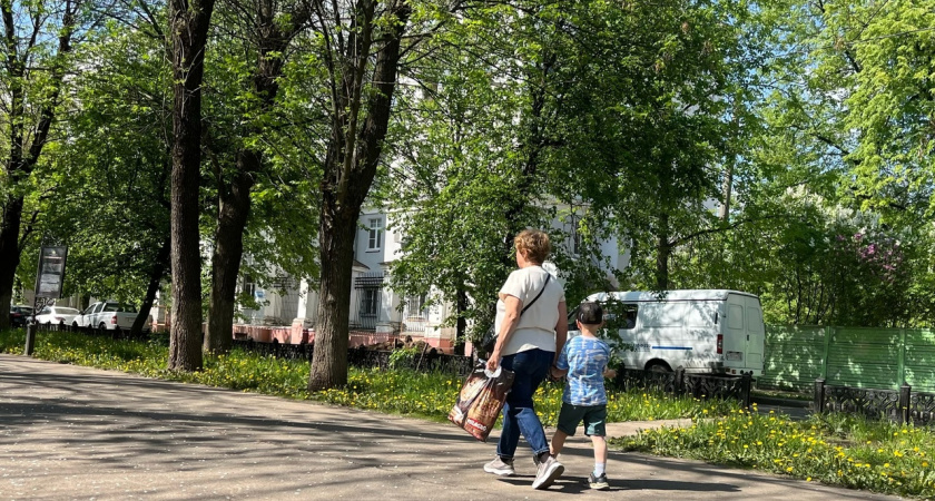 В Ярославле перед 30-градусной жарой резко похолодает 