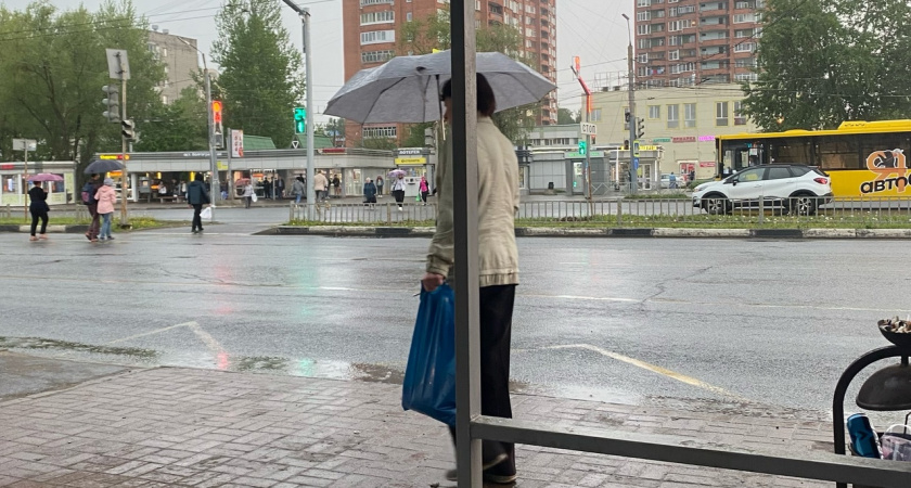 Неделя гроз и ливней врывается в Ярославль