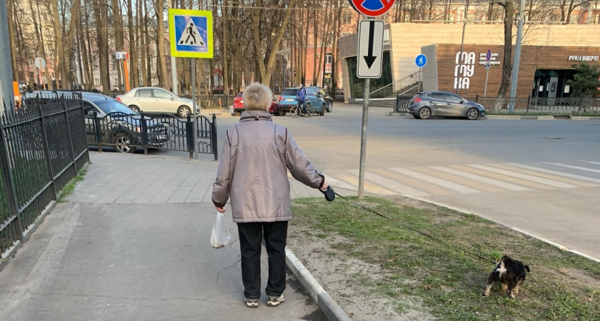 Госдума приняла закон о штрафах в 200 тысяч для владельцев животных