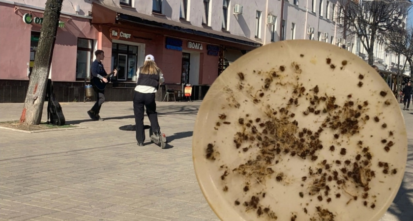 Клещевая "эрекция": какая вещь притягивает кровососов 