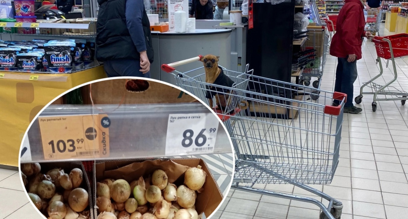 "Одно гнилье, свиньи есть не будут": ярославцев возмутили заоблачные цены на лук
