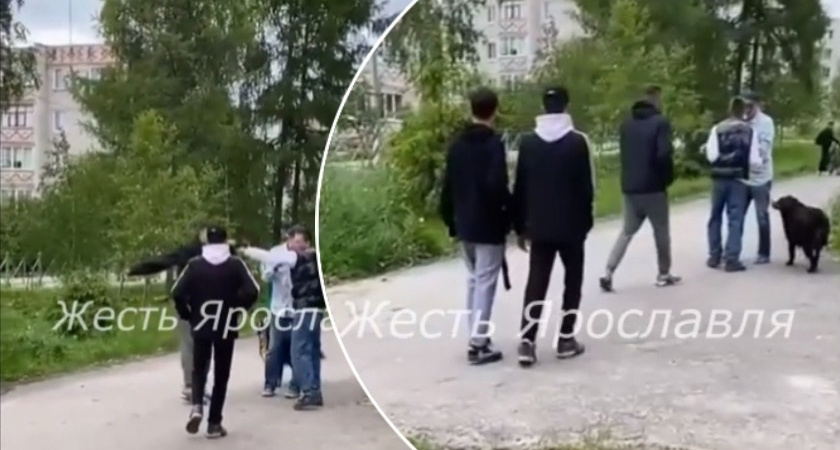 В Ярославле мужчина поставил подростка на колени за замечание о грязном мате