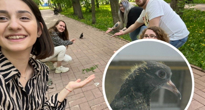 Передается через воду: власти Ярославля бьют тревогу из-за птичьего гриппа