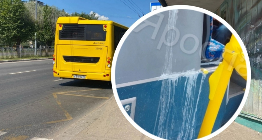 В Ярославле начали "плакать" новые "Яавтобусы"