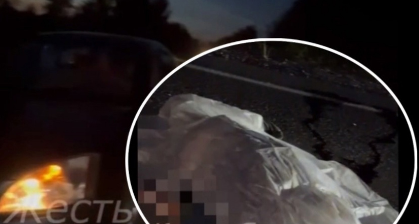 "Тело в пакете": в Ярославле ищут устроившего смертельное ДТП водителя