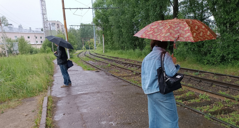 Неделя беспросветных ливней накроет Ярославль