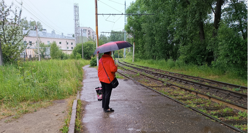 В МЧС ярославцев экстренно предупредили о приближении грозы