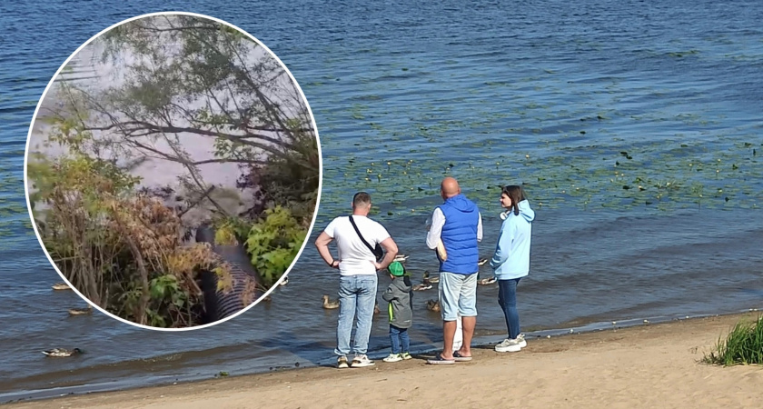 "Главное не плюйте - оштрафуют": ярославцы бьют тревогу из-за сброса нечистот в Которосль