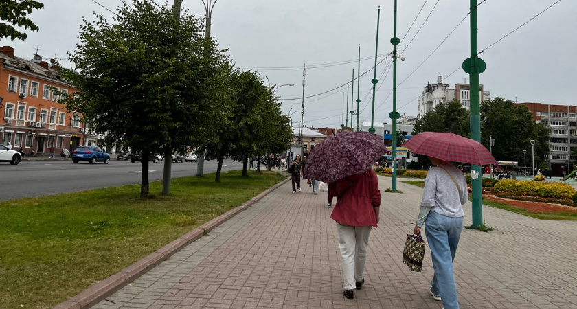 Неделя дождей и похолодание до +10 огорчат ярославцев в начале июля