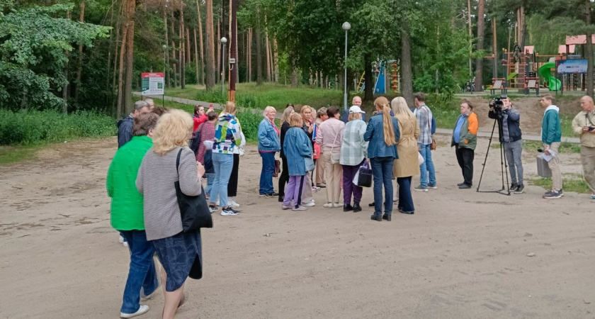 В Тверицком бору хотят поставить лавочки