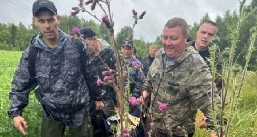  В Ярославской области полицейские нашли заблудившегося в лесу пенсионера