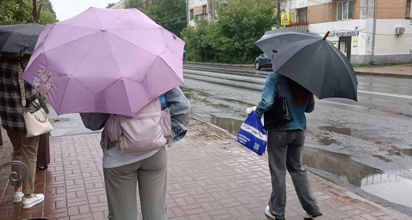 Синоптики обещают ярославцам "бурную" неделю