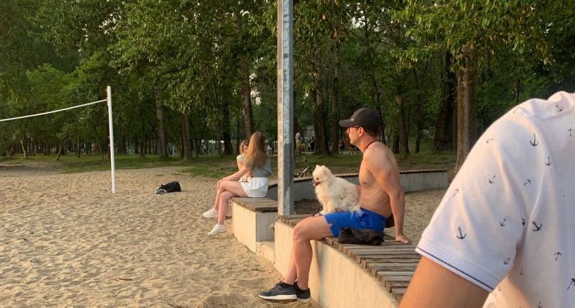 Астрологи признались, кто самый асексуальный знак зодиака