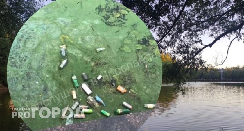  Бутылки и мертвые утки: в центре Ярославле позеленела река