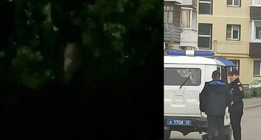 На Фрунзе камеры запечатлели ночных хулиганов с топорами