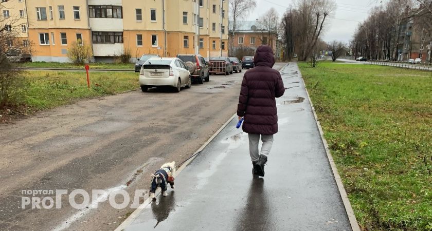 Аномальный холод: синоптики шокировали прогнозом на сентябрь в Ярославле