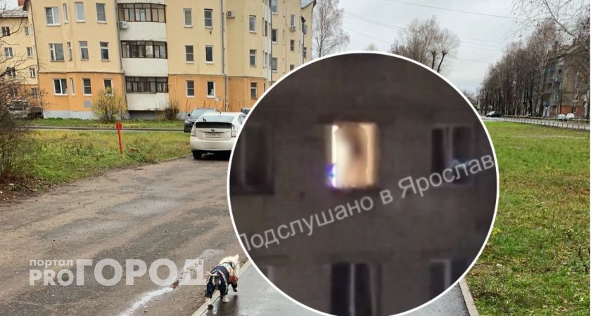 В Ярославле парень справил нужду прямо из окна дома