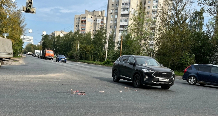   В Ярославле на дорогу высыпались потроха и провоняли весь район