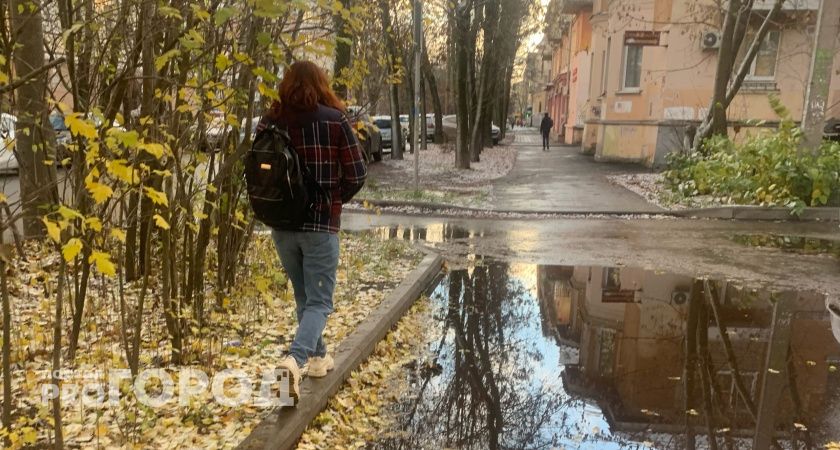 На неделе в Ярославле похолодает до шести градусов