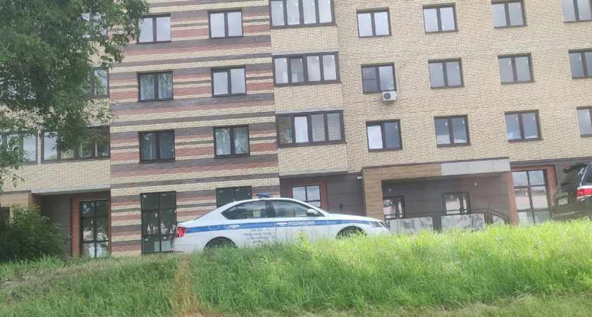 В Ярославле мужчина украл квадрокоптер и несколько ретро-консолей