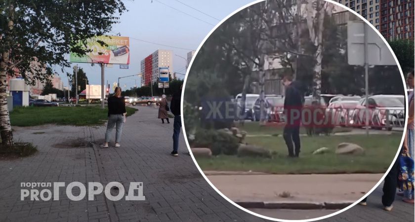 Молодой человек решил справить нужду в центре Ярославля