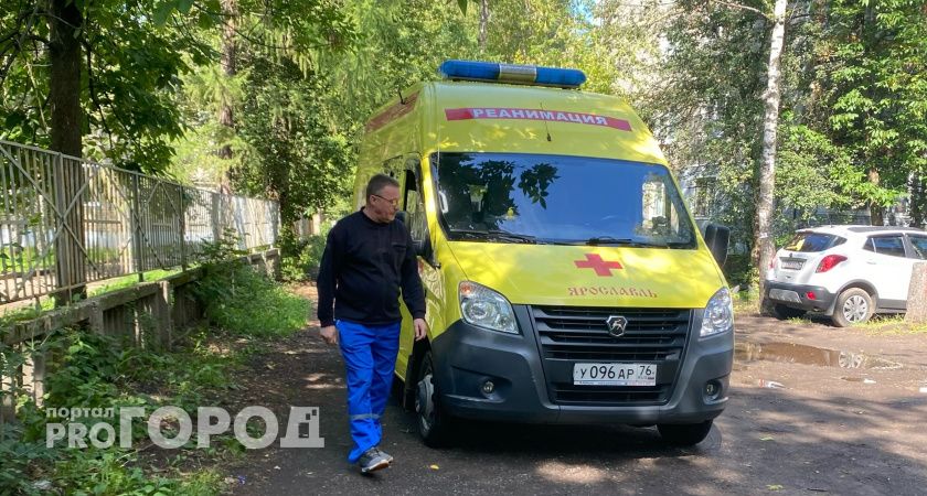 В Ярославской области на ферме погиб мужчина