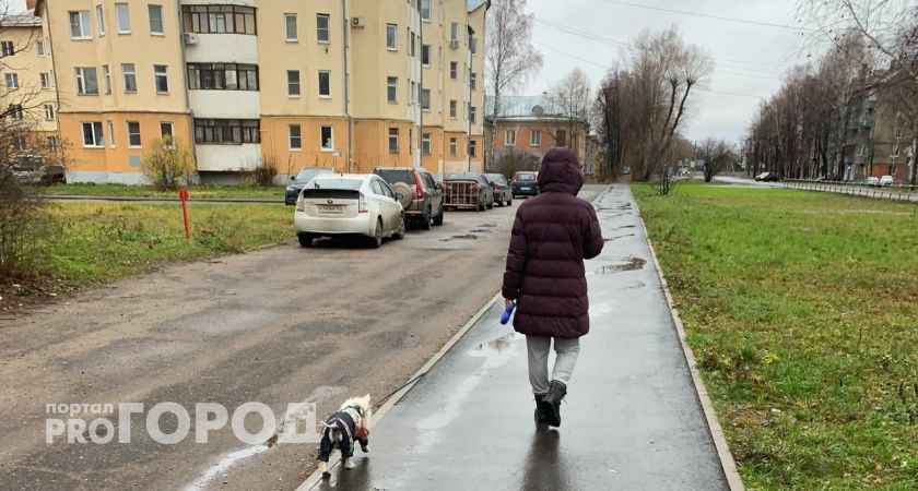 Температура в Ярославле опустится до 8 градусов