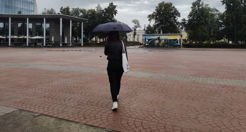 Климатический "малыш" испортит зиму в Ярославле