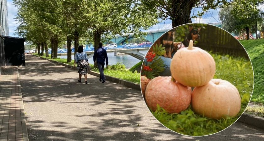 Источник здоровья: назвали топ-8 продуктов, помогающих худеть