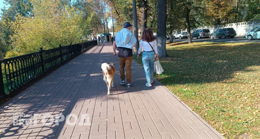 В Ярославле 25-градусная жара простоит еще неделю