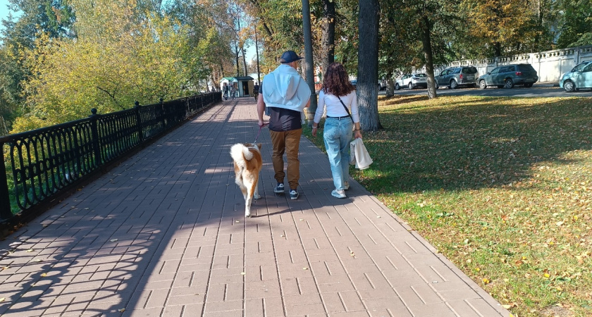 Аномальный конец осени спрогнозировали ярославцам синоптики