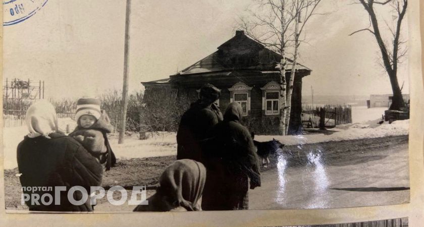 Растерзал хозяйку и оставил от ее имени записку: в Ярославле раскрыли убийство 23-летней давности