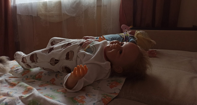  "Приказал раздеться": под Ярославлем 48-летний мужчина попытался изнасиловать ребёнка