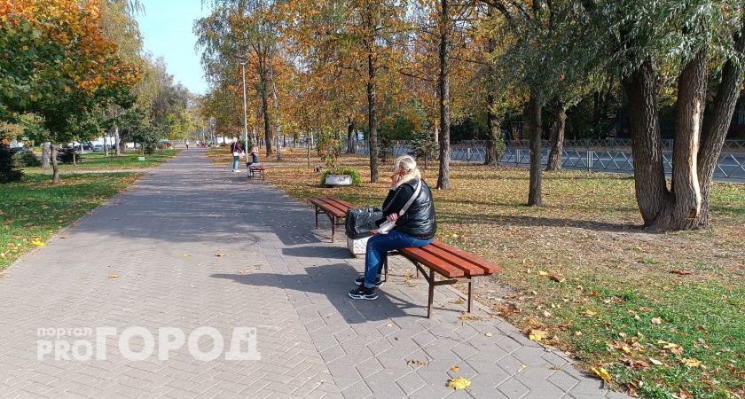 20-градусная жара в октябре вернется в Ярославль 