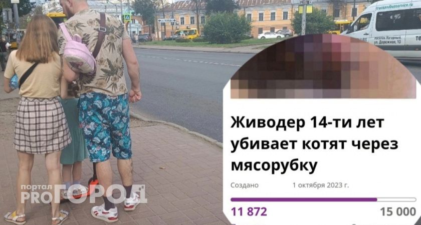 Петиция против ярославского малолетнего живодера набрала более 11 тысяч подписей
